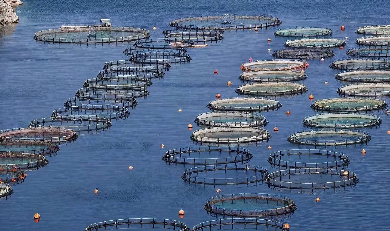 我国水产养殖业面临的挑战与病害防治发展趋势