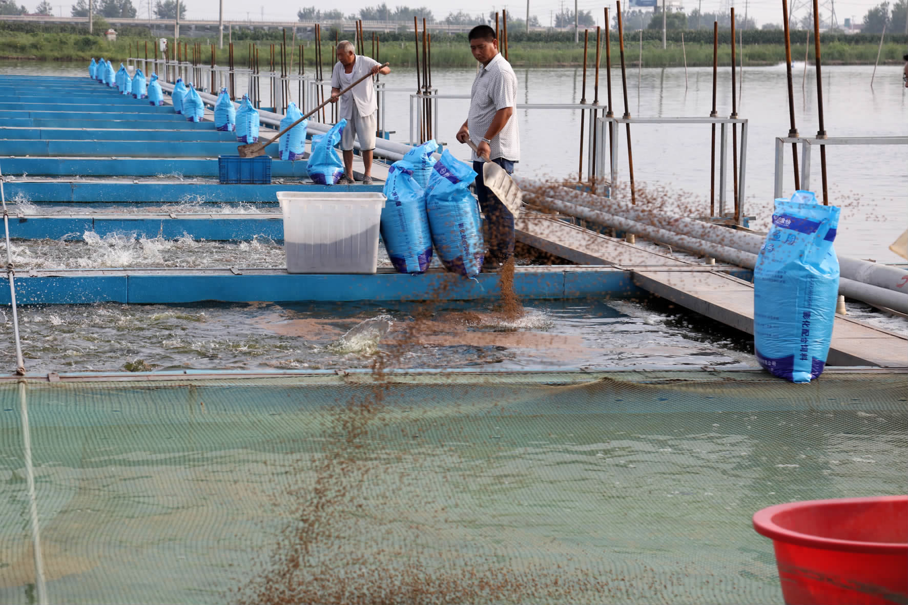 绿色引擎驱动产业升级——市农办主任、农业农村局局长杨中校赴德清调研水产养殖业绿色发展
