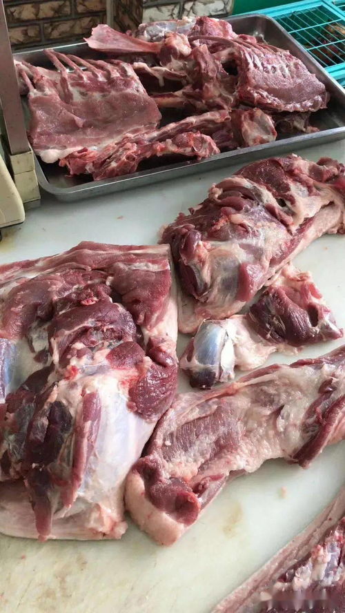 发酵饲料对提升动物肉品质的科学机理与应用研究佐证