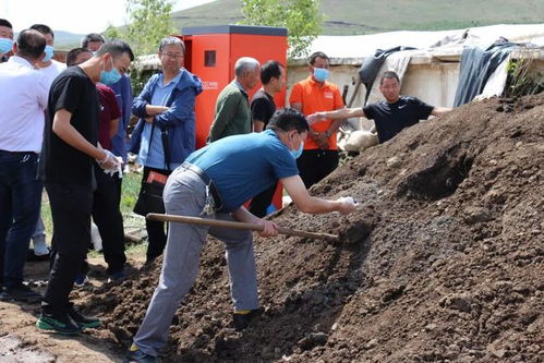 土地被畜禽粪便污染后能否继续种植庄稼与垂钓的影响